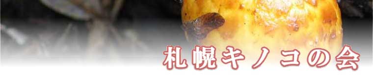 �D�y�L�m�R�̉�